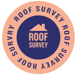 icon of Roof Surveys
